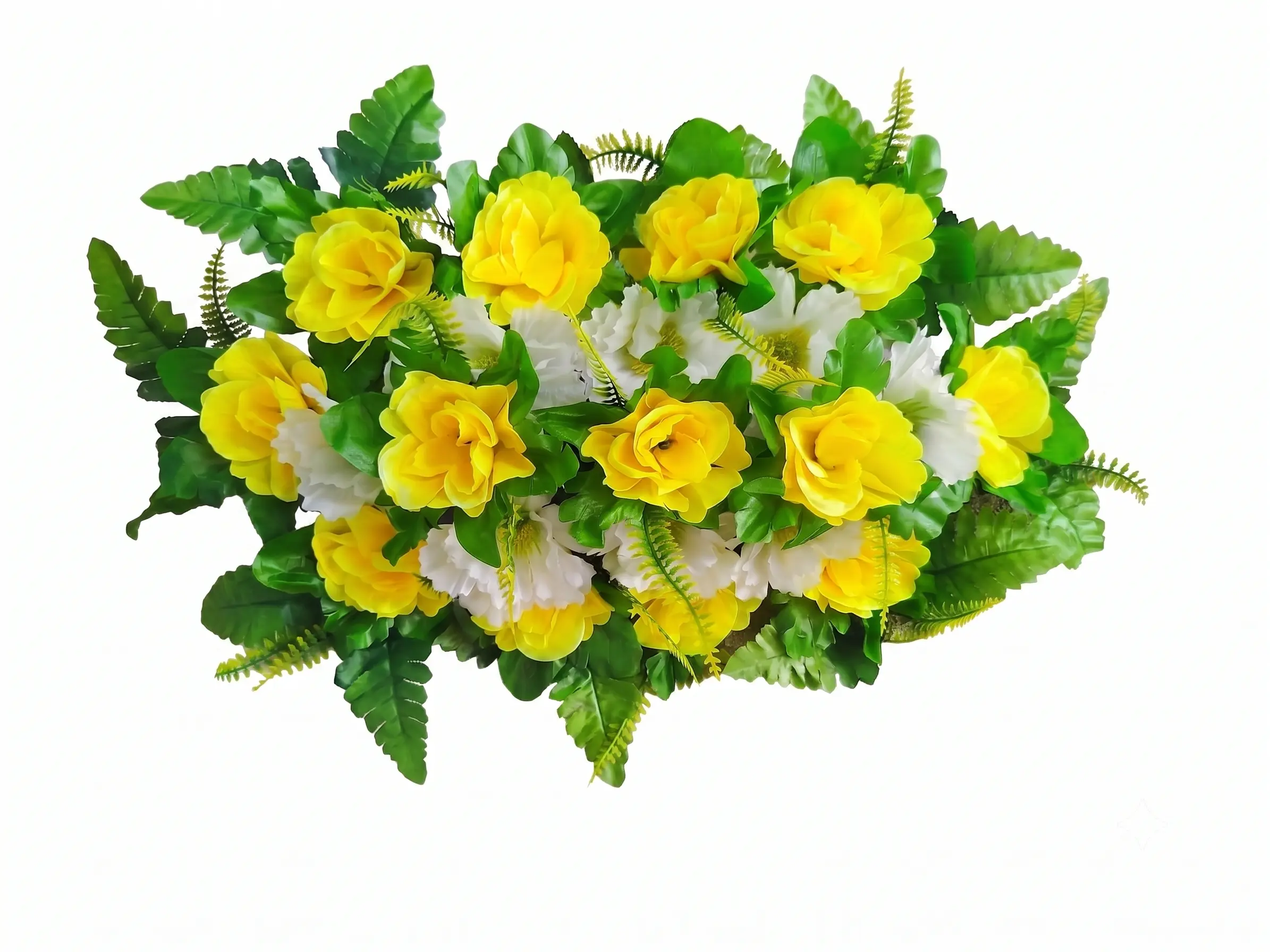 Palma Chica amarillo y blanco