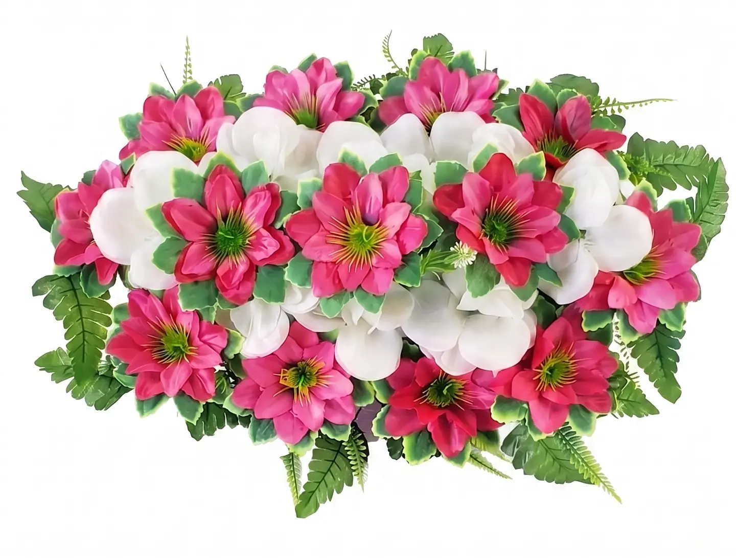 Palma Chica rosa y blanco